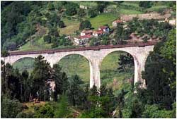 Railroad Trestle in the Douro