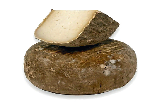 Garrotxa Cheese