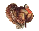 Tom Turkey