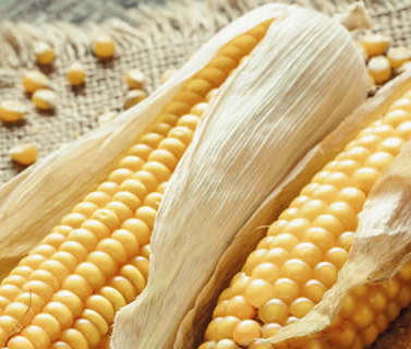 Dried Flour Corn