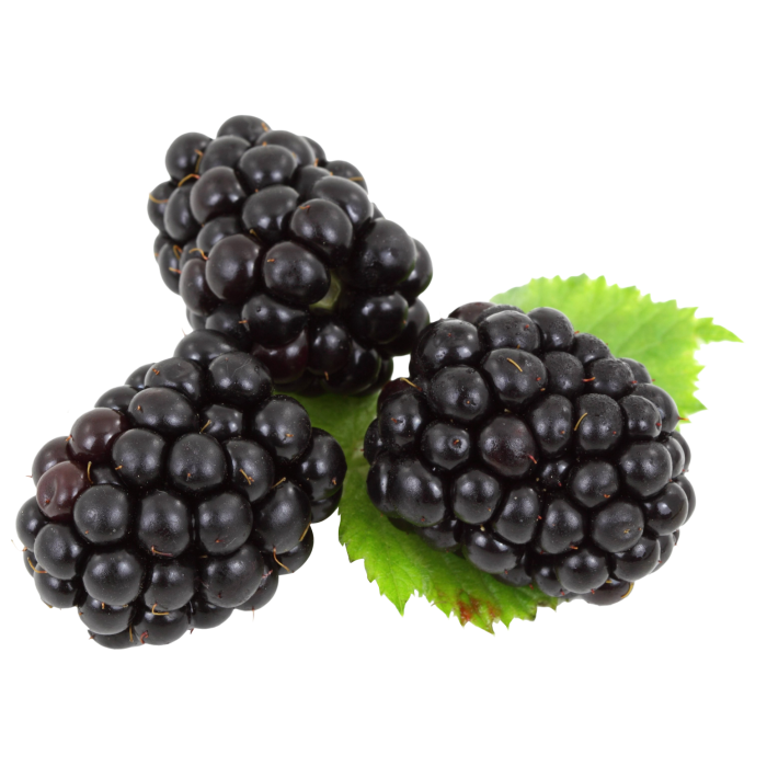 Blackberrys