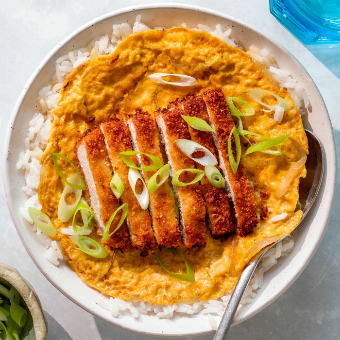 Image of Japanese Katsudon