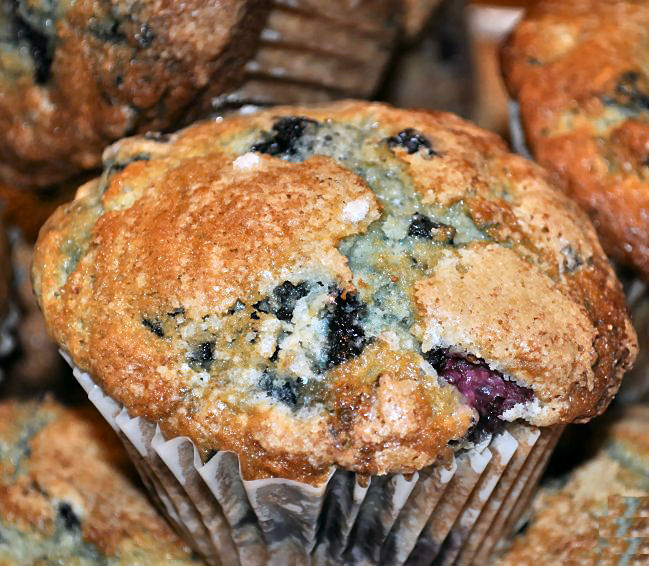 Blueberry Muffin